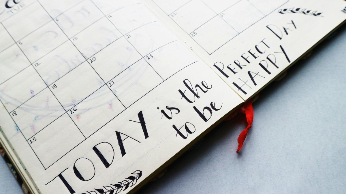 Toda la semana completa con actividades