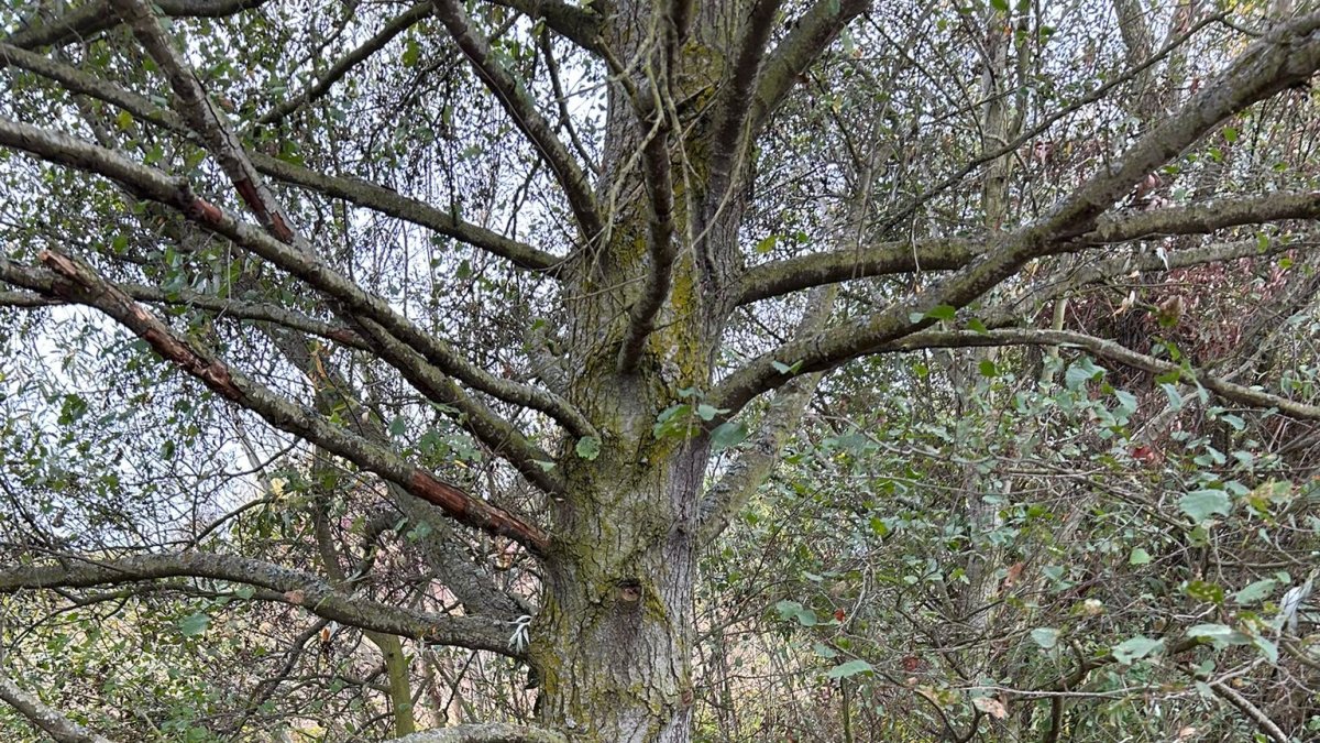 Entorno del río Jerga