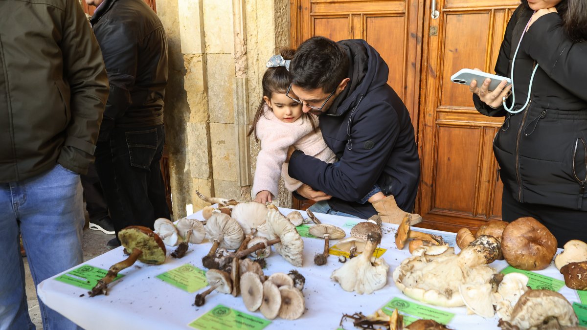 La exposición micológica contó con 189 especies y numerosas visitas.