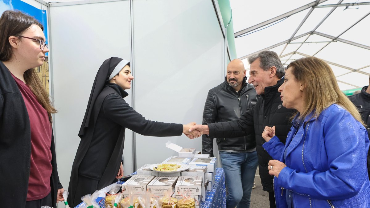 Feria de San Martín en Mansilla de las Mulas.