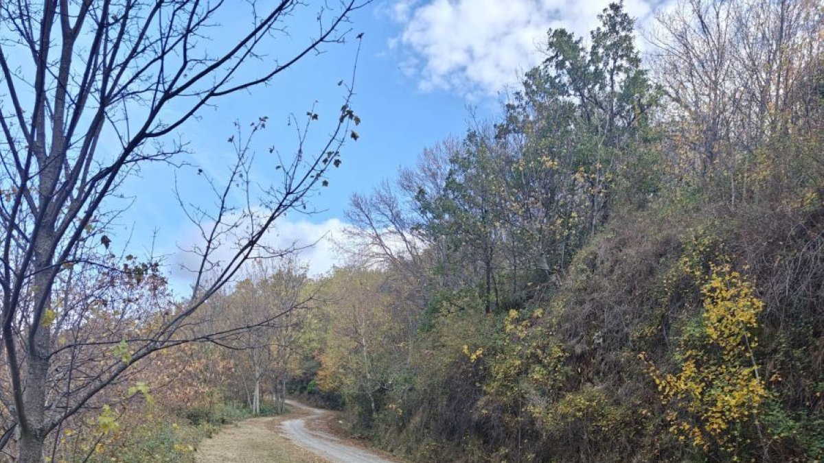 Desbroce de la carrtera efectuado por la brigada de Obras.