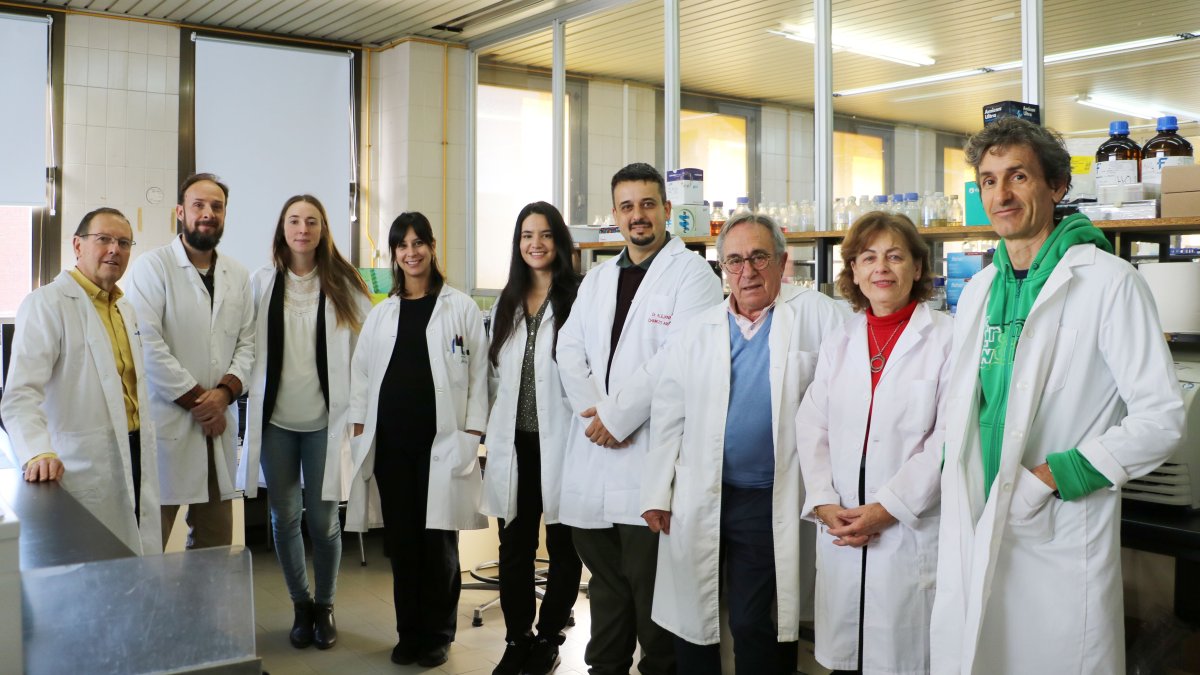 Miguel Ángel Ferrero García, Nicolás Navasa Mayo, María Isabel San Martín Becares, África Sanchiz Giraldo, Yaiza Carnicero Mayo, Alejandro Chamizo Ampudia, Leandro Rodríguez Aparicio, Honorina Martínez Blanco y Javier Casqueiro Blanco en el laboratorio de Bioquímica de la Facultad de Veterinaria de la ULE