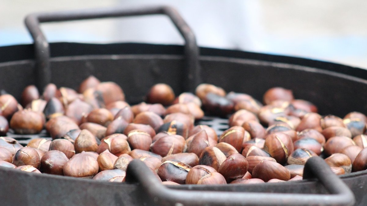 El magosto, una de las tradición más importantes del otoño en León.
