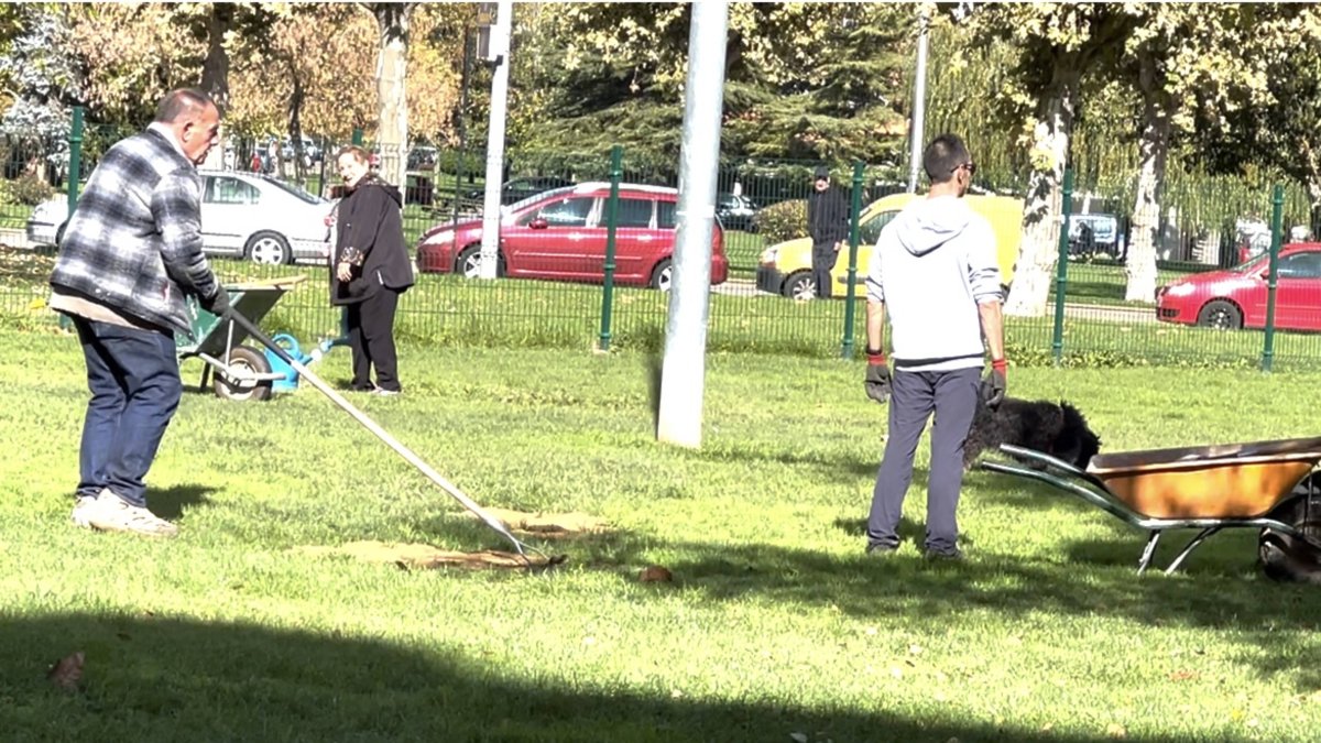 Hacendera de los dueños de perros en la ZEC de La Palomera-Buen Suceso para tapar los agujeros del pipicna.