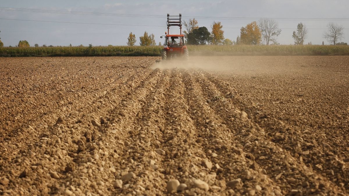 El sector está en pleno proceso de modernización.
