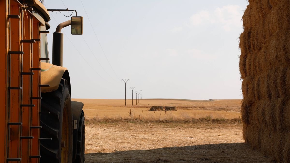 Finca de cultivo en León.