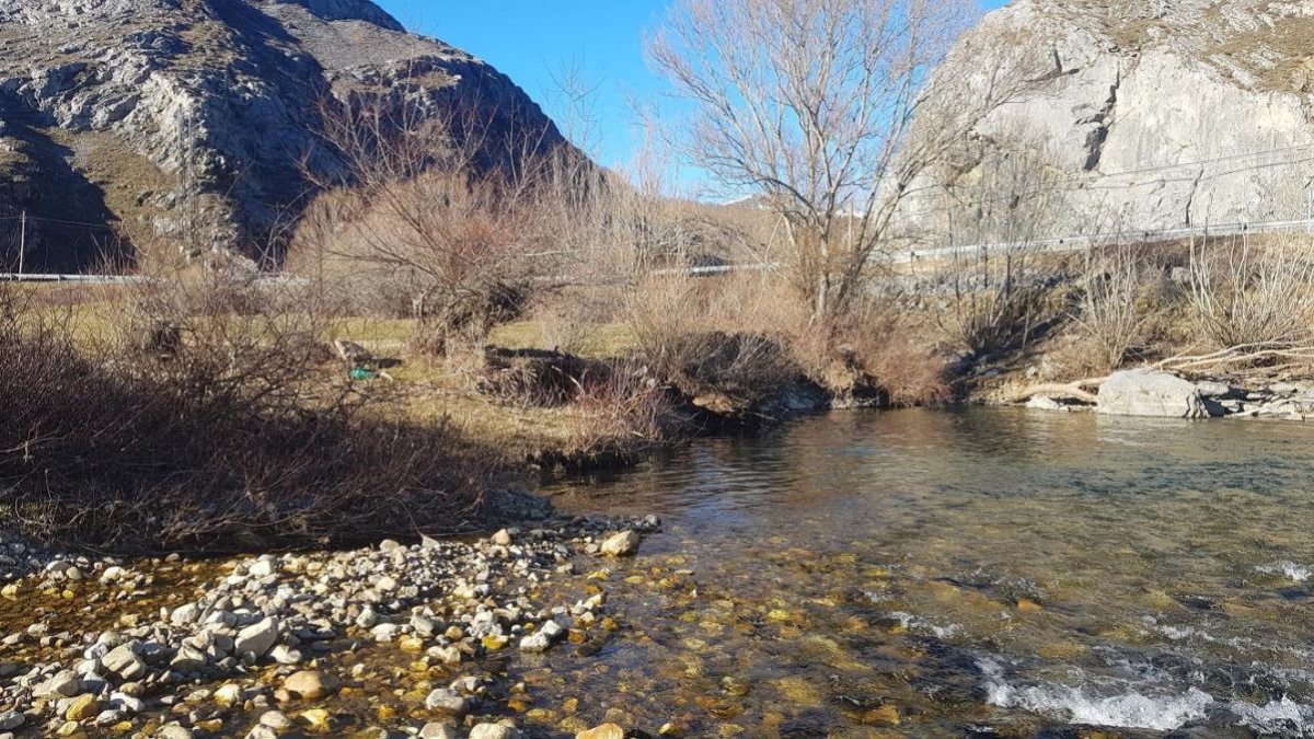 Vista de los márgenes del Esla y el arroyo Mirva en Burón.