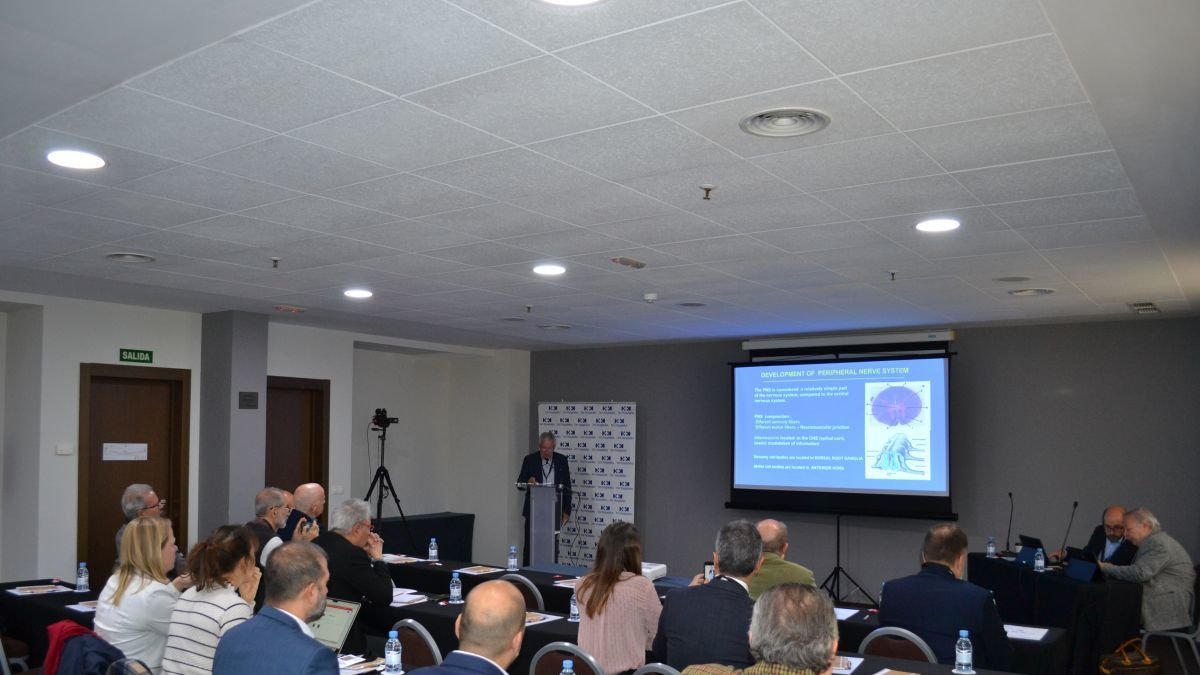 Un momento del curso de formación organizado por el servicio de Neurocirugía de HM San Francisco de León.