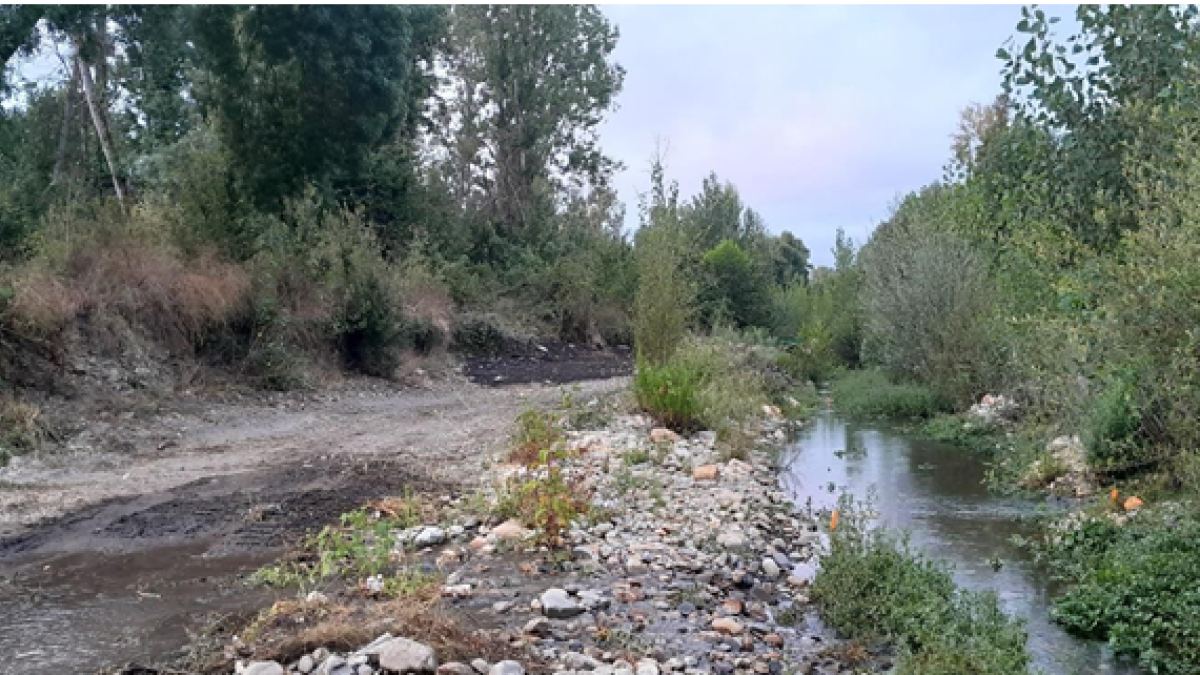 Estado en la que se encuentra actualmente el río Cúa a su paso por Carracedelo.