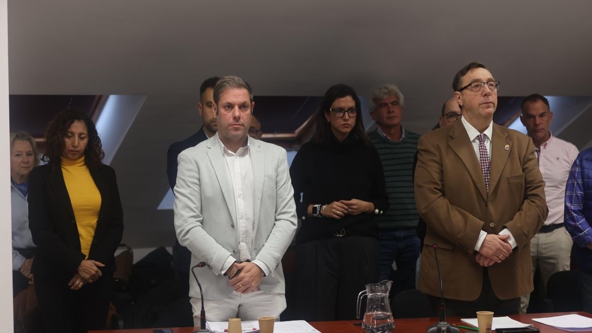 Un momento del pleno del Consejo comarcal