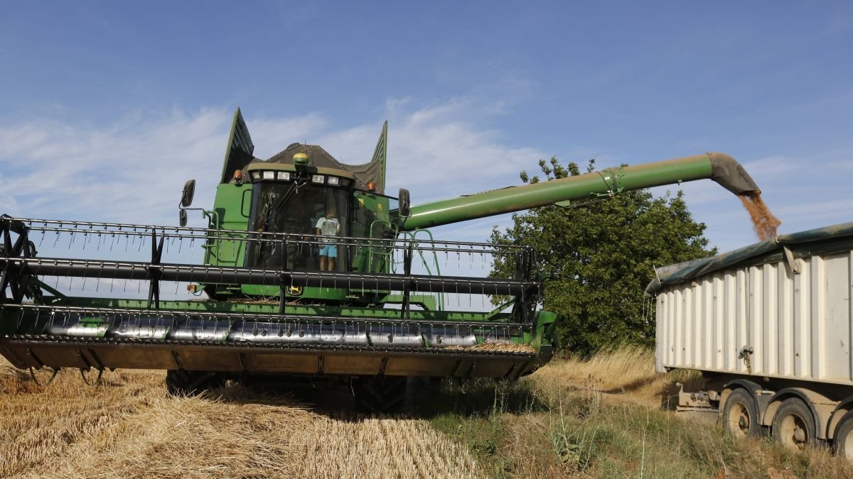 Una cosechadora en una finca de trigo en León.