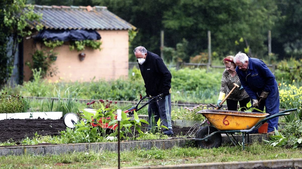 Imagen de unos jubilados en los huertos municipales.