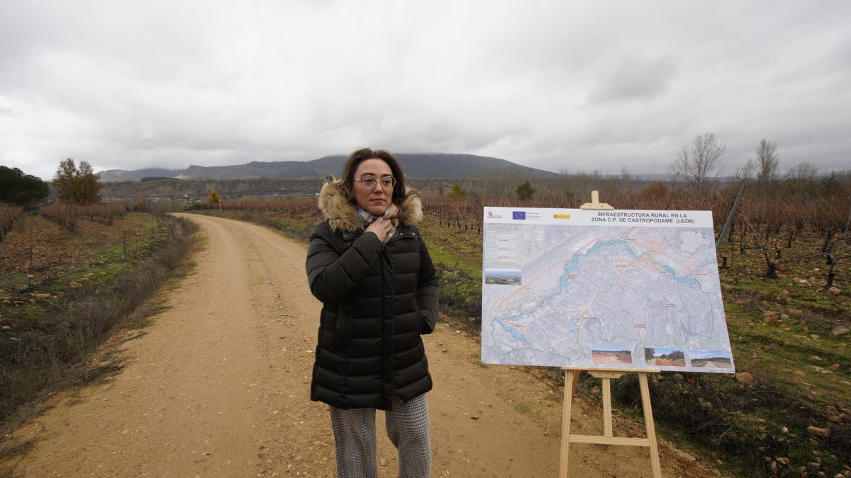 La consejera de Agricultura, Ganadería y Desarrollo Rural, María González Corral, durante su visita a las obras de la infraestructura rural de la concentración parcelaria de Castropodame (León).