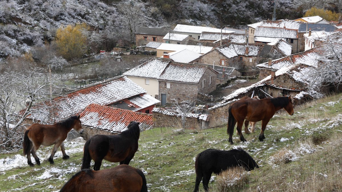 La collada de Aralla, uno de los puntos donde se ha registrado una de las temperaturas más bajas del país.