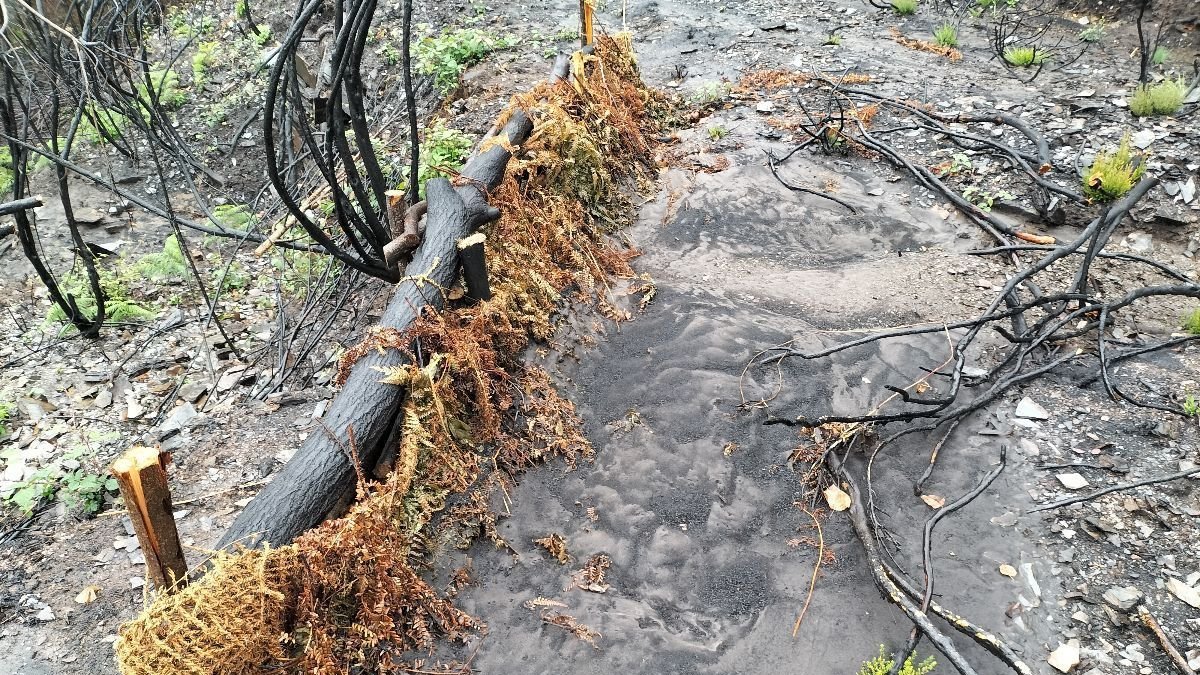Una de las barreras de contención colocadas.