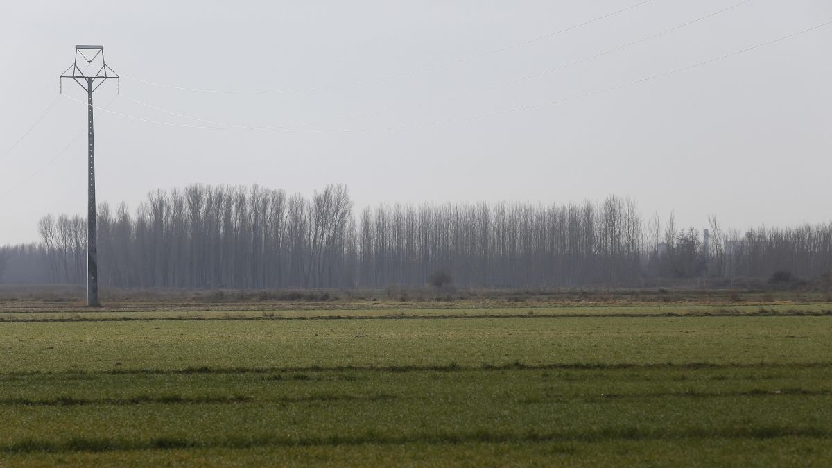 Tierras de cultivo en Santa Colomba de la Vega.