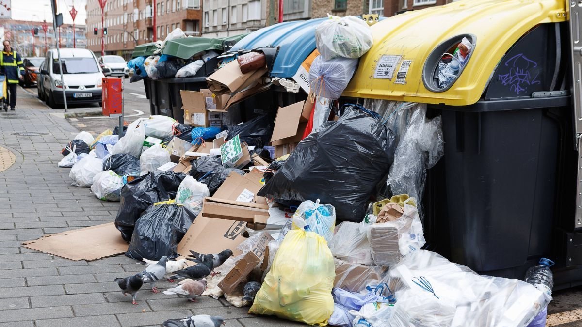 Las palomas se dan un festín con la basura desparramada en Párroco Pablo Díez.