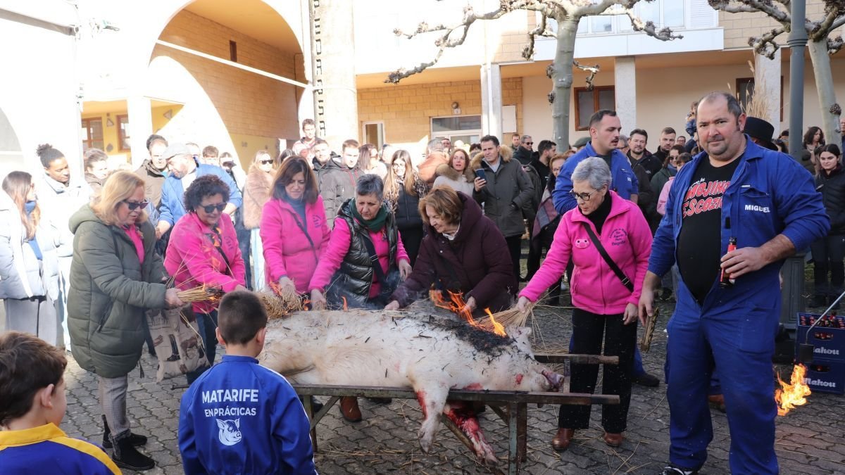 Limpieza del cerdo ante la mirada de jóvenes aprendices y público.