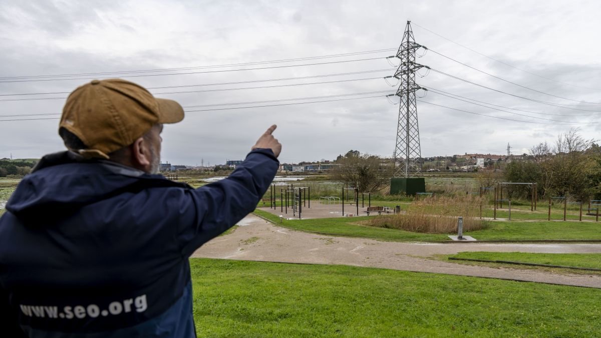 Felipe González, técnico de SEO/BirdLife señala un tendido peligroso para las aves en Cantabria.