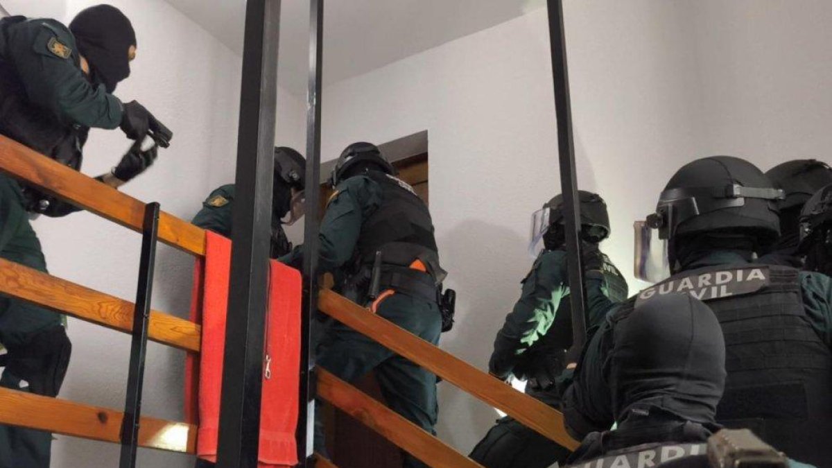 Descripción de la imagen