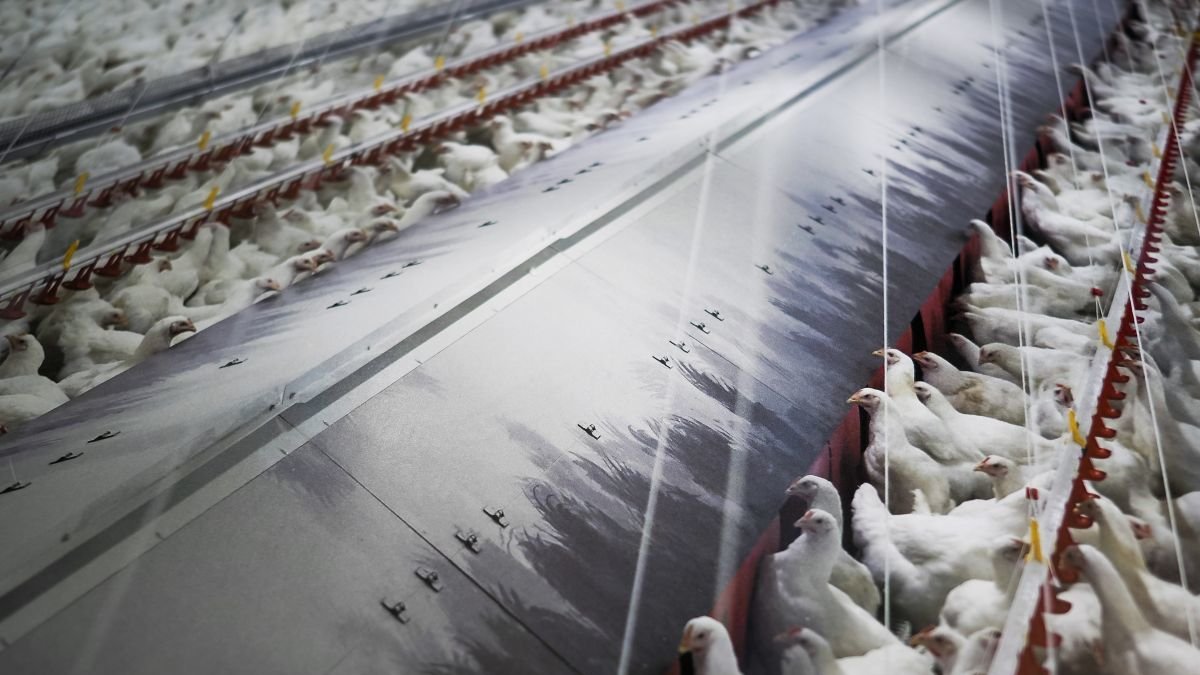 Fotografía de archivo de una granja en Lugo.