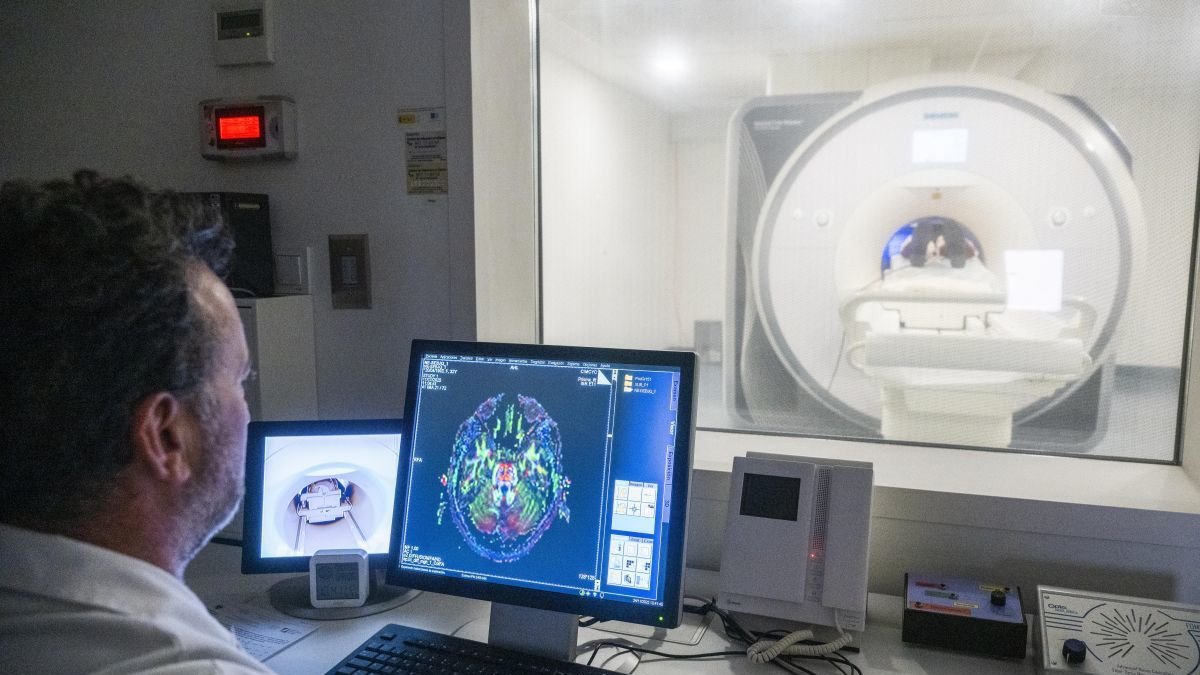 La ciencia permite acceder a 'escuchar' la estructura cerebral.