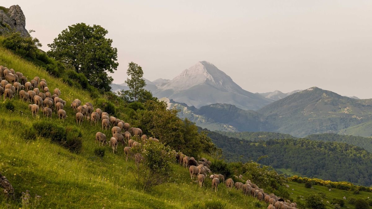 La iniciativa generará una red de apoyo y fomentará herramientas para la formación de pastores.