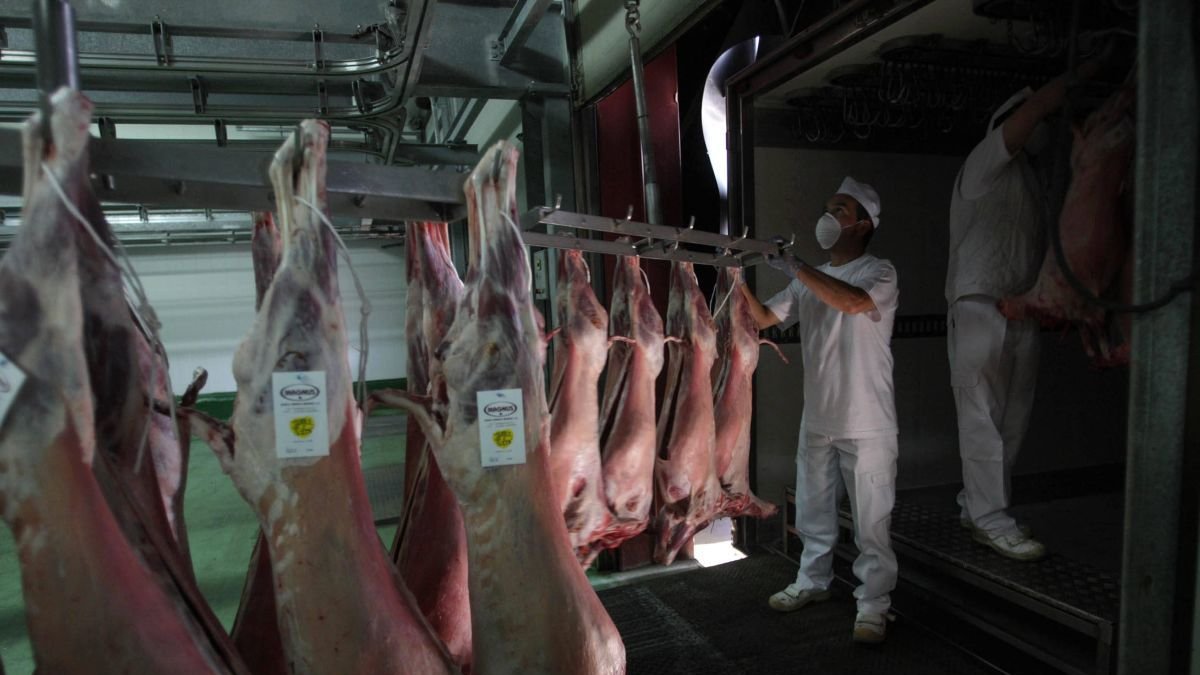 La exportación de lechazos aumentará desde febrero.