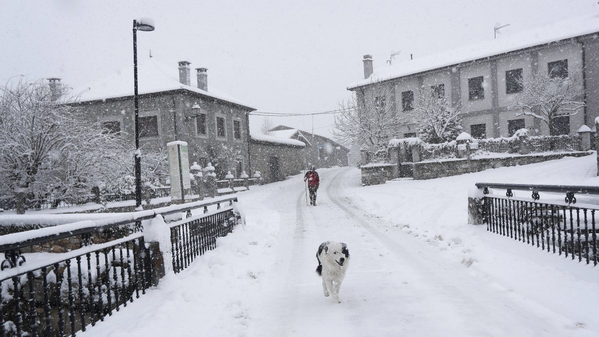 Un perro disfruta de la nieve en Lillo.