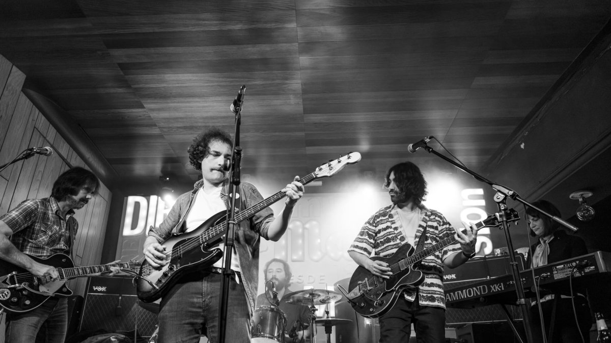 Formación al completo de Hummo durante un concierto.