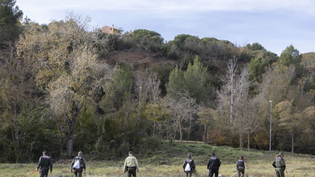 Batida de agentes rurales en busca de ejemplares muertos de jabalí en Cataluña.