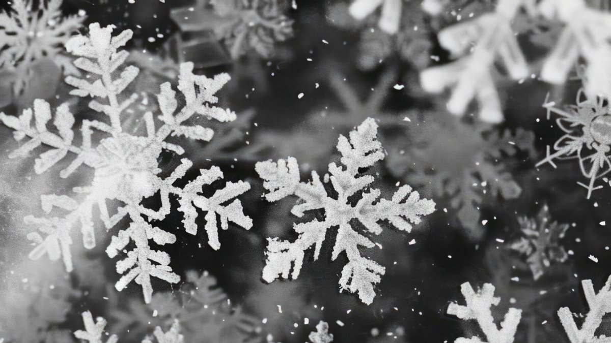 Copos de nieve