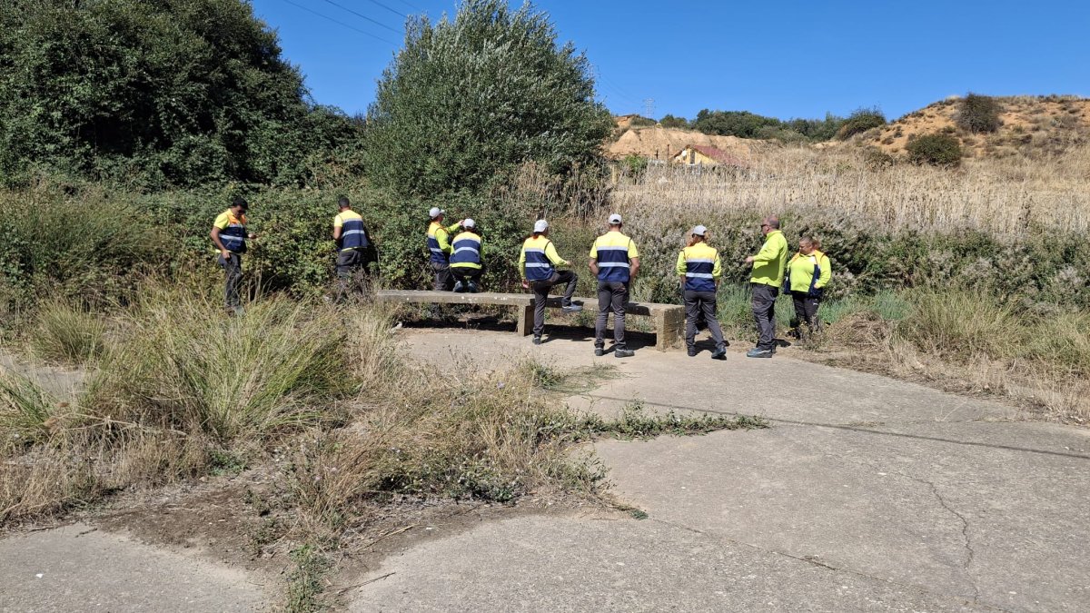 Los alumnos realizarán tareas de mantenimiento de parques, entre otras.