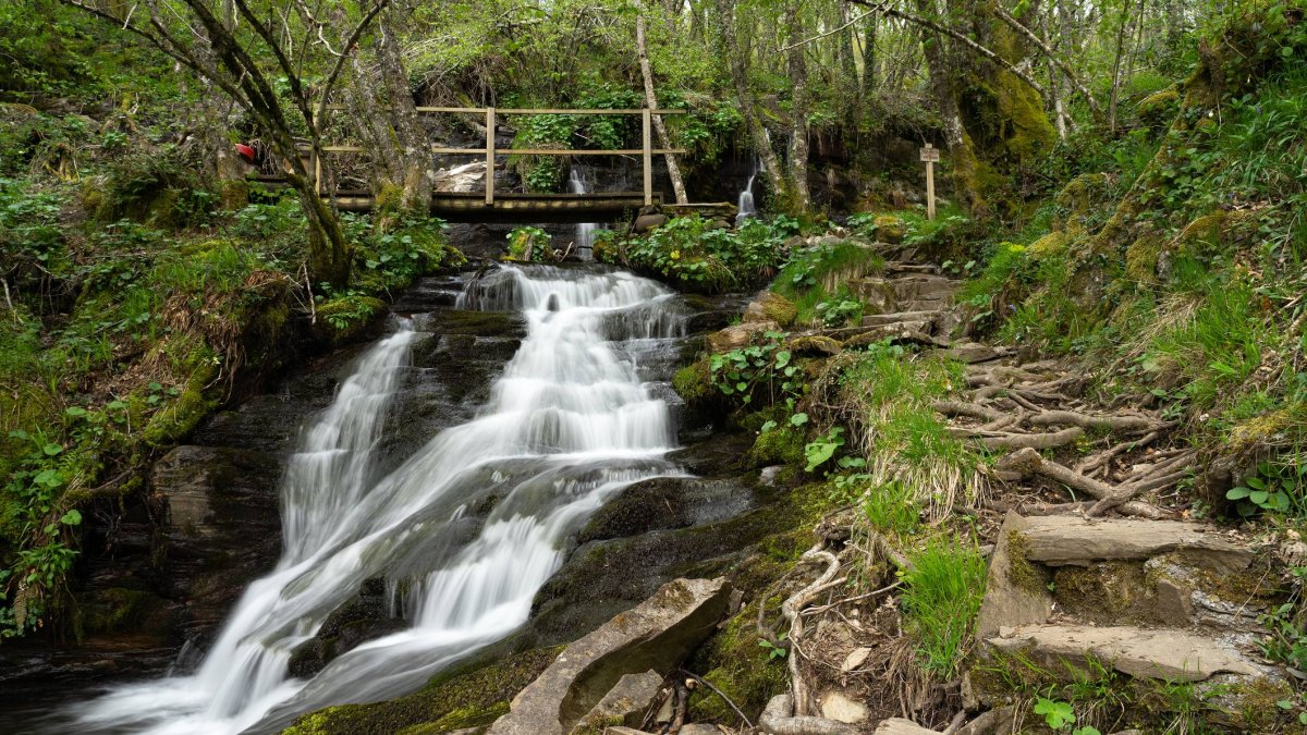 La Fervenza do Beiro es una de las muchas cascadas que salpican el recorrido por el hayedo, donde el agua acompaña al caminante como un hilo narrativo natural.