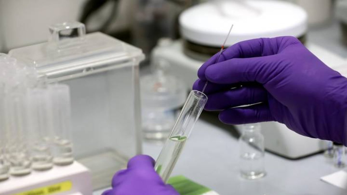 Imagen de archivo de un laboratorio