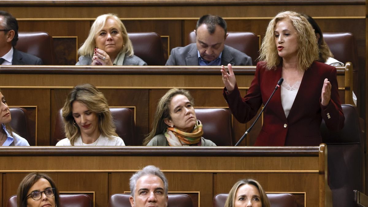 Silvia Franco en una sesión del Congreso de noviembre.