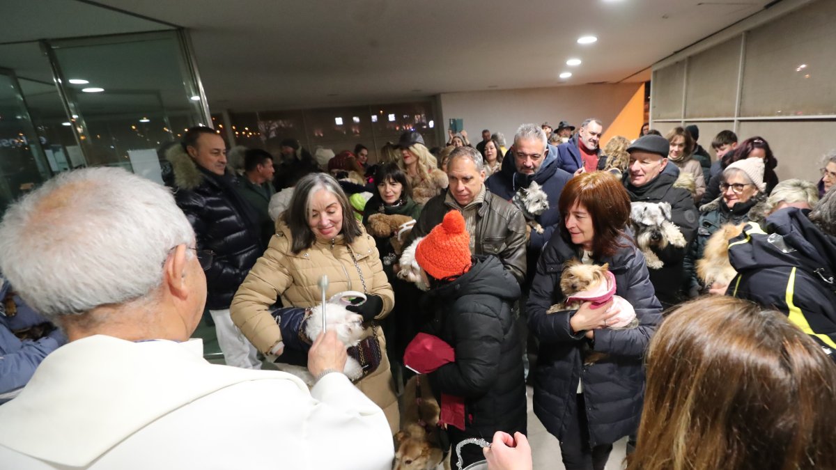 Festividad de San Antón en la iglesia de La Rosaleda de Ponferrada