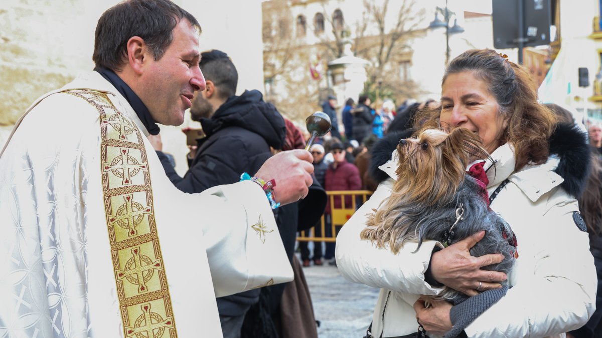 Bendición de San Antón a los animales en León.