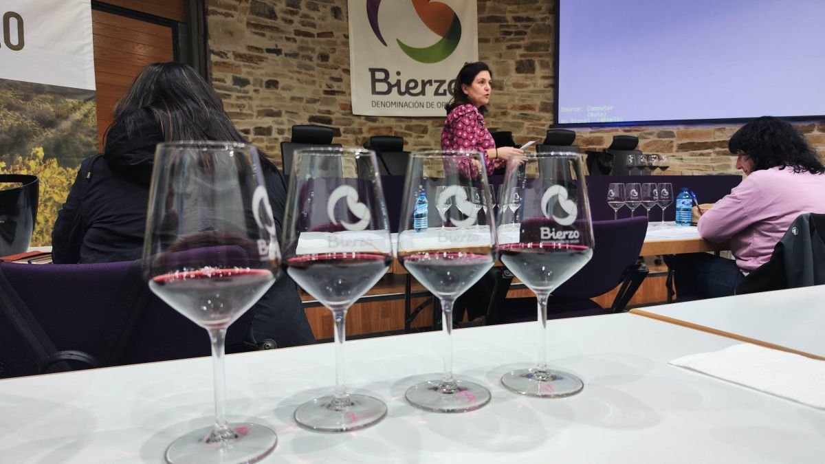 Vinos de la DO Bierzo.