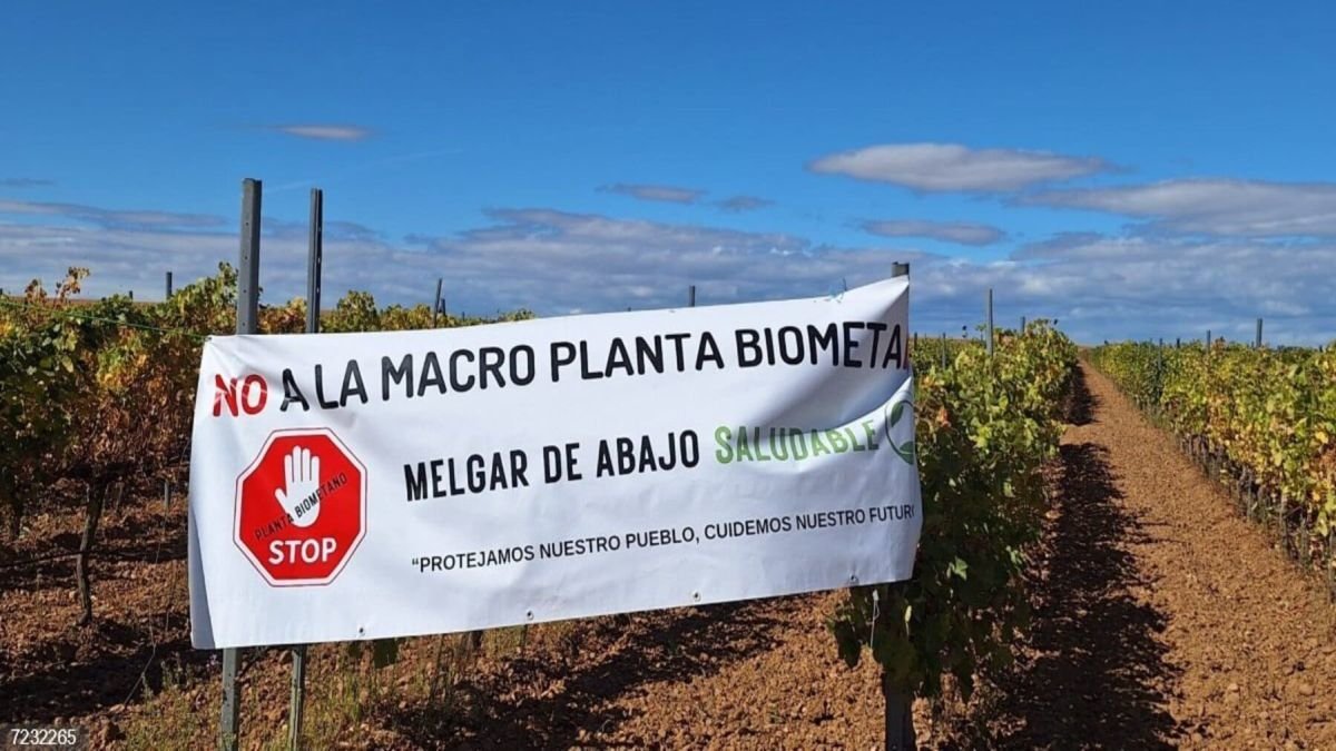 Pancarta de protesta instalada en una finca de viñedos que se verá afectada por el proyecto.