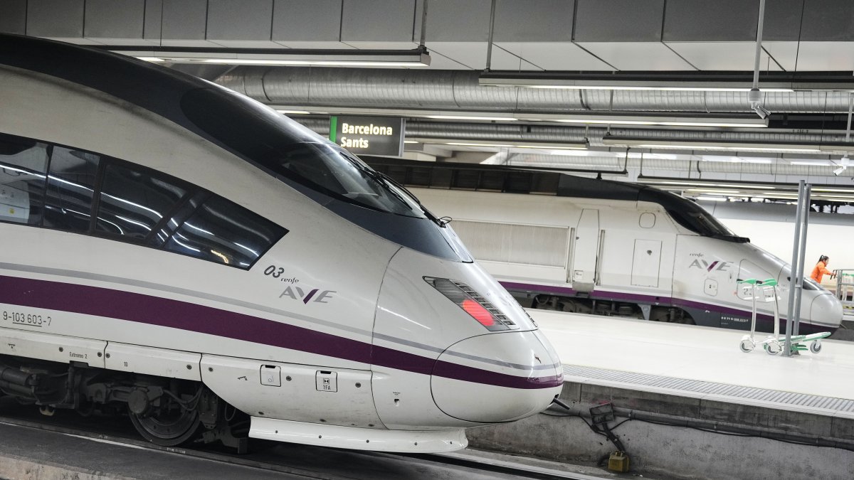Trenes de alta velocidad parados en la estación de Sats, en Barcelona.