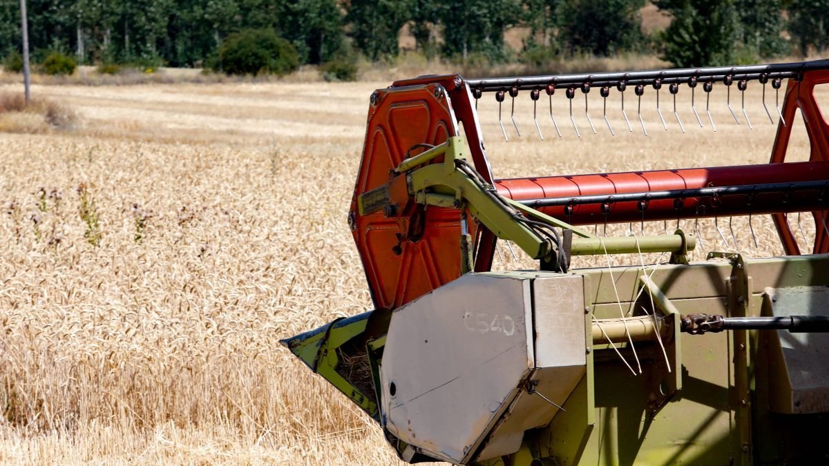Las organizaciones agrarias rechazan la posibilidad de un recorte del 22% de los fondos destinados al campo.