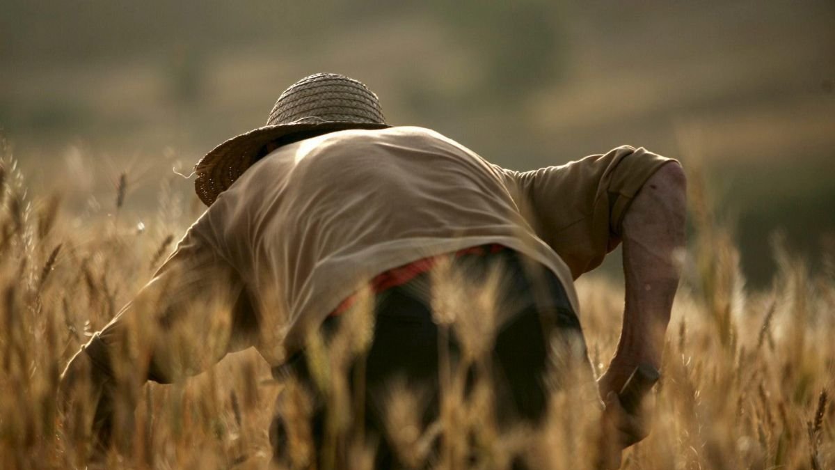 La falta de mano de obra es uno de los problemas del campo.