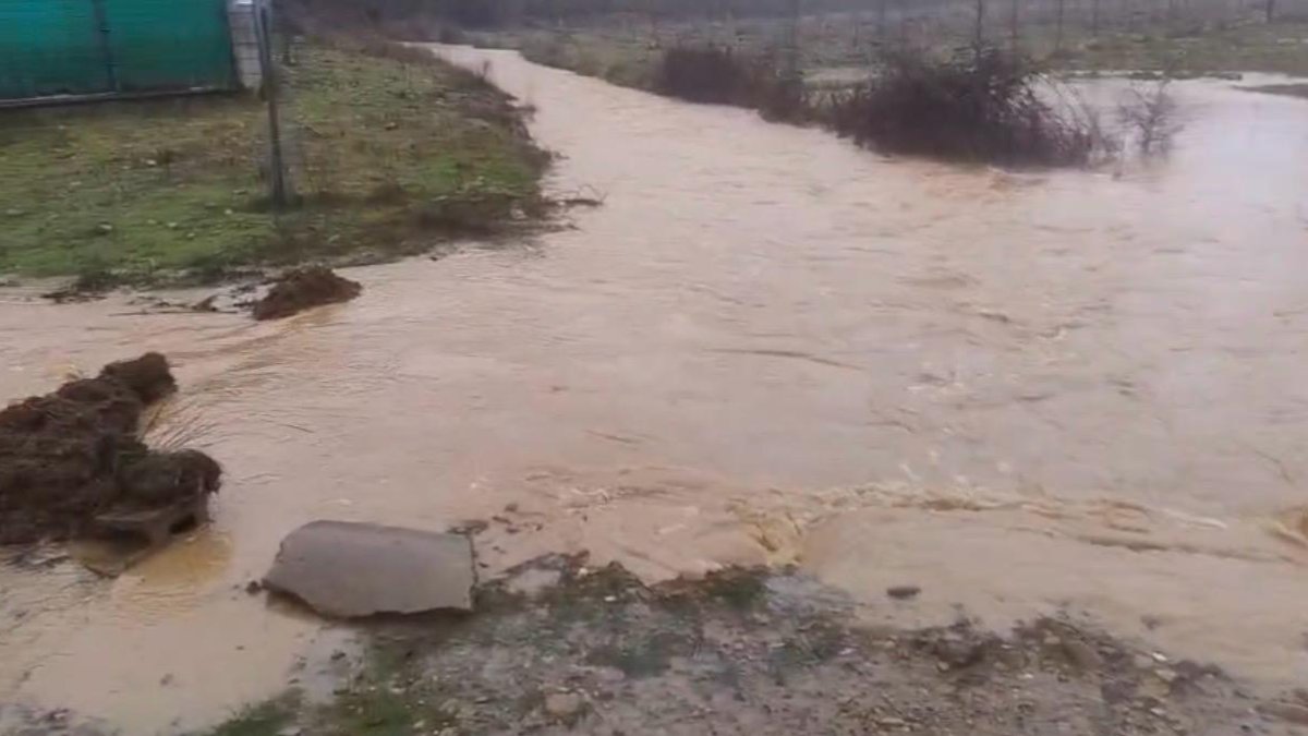 Estado actual del canal del Carbosillo.
