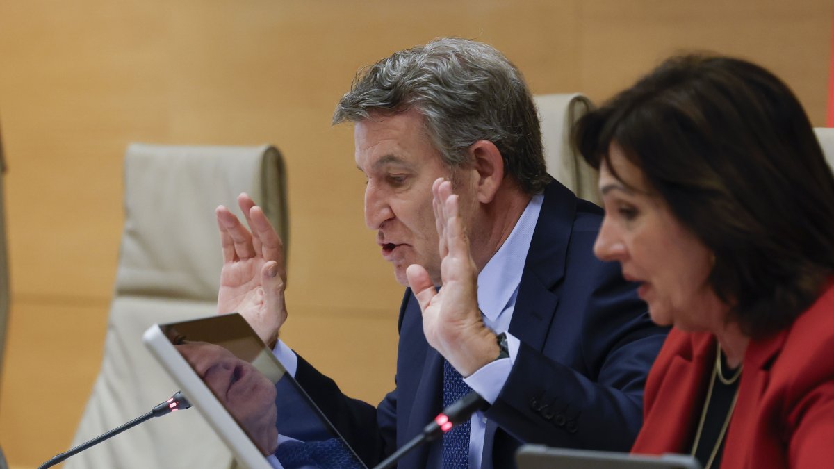 El líder del PP, Alberto Núñez Feijóo (i) junto a la presidenta de la Comisión, Carmen Martínez Ramírez (d) durante su comparecencia este lunes ante la comisión del Congreso que investiga la gestión de la dana de 2024, que dejó 230 muertos en la provincia de Valencia.