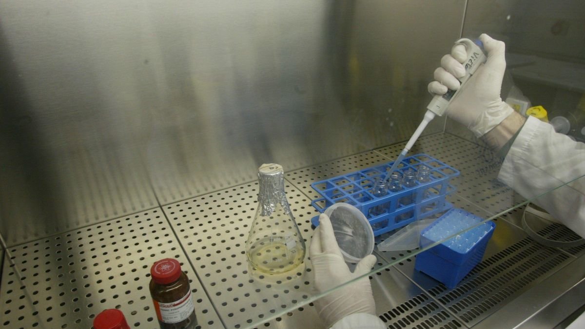 Laboratorio de invetigación en León.