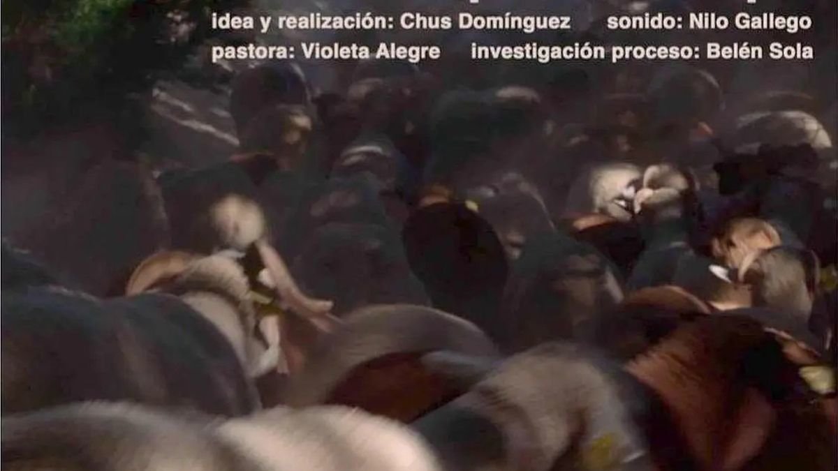 Fotograma de 'Animal espacio tiempo'.