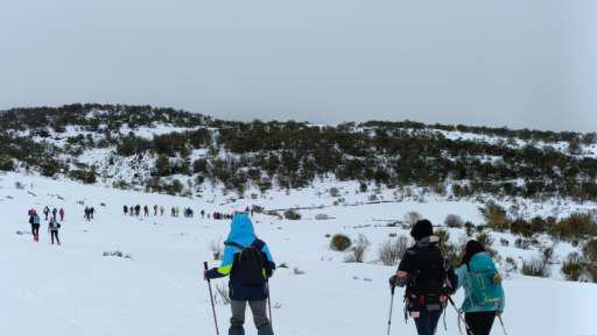 Habrá esquí y raquetas de nieve.