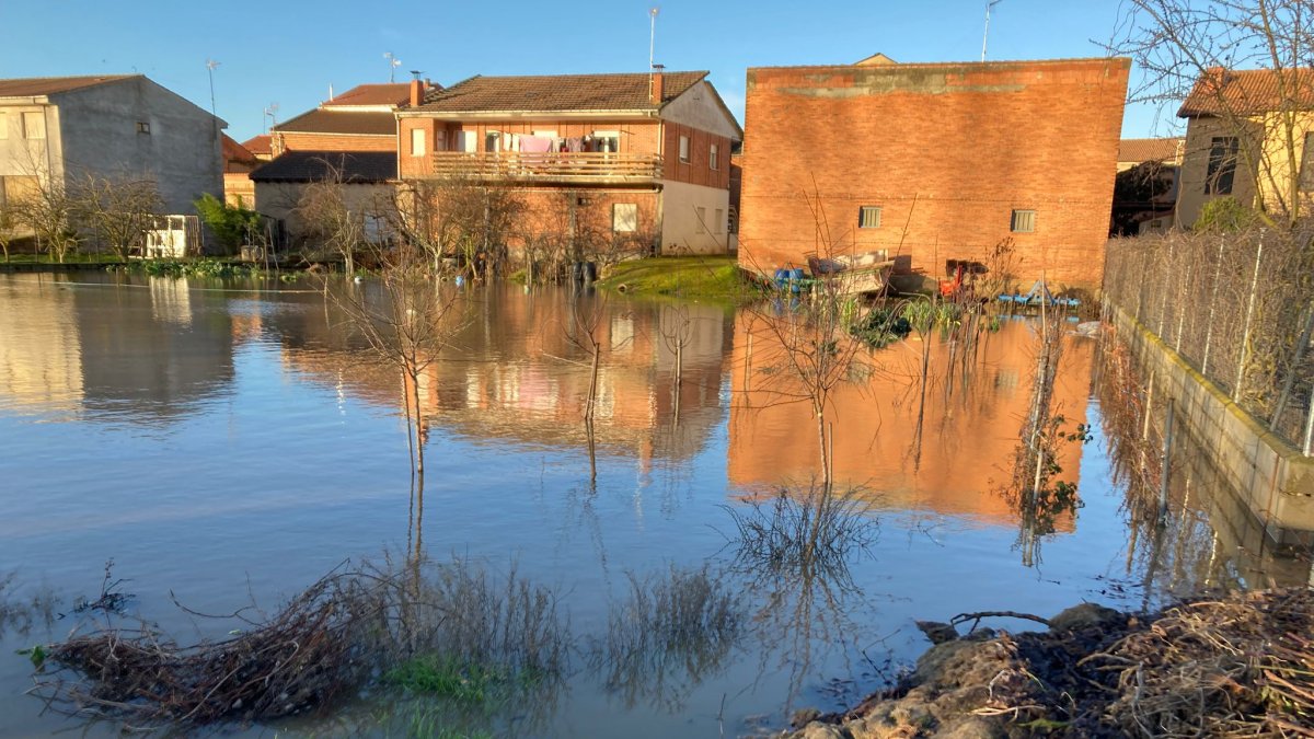 La crecida del río Órbigo, con la presa desbordada, amenaza las viviendas