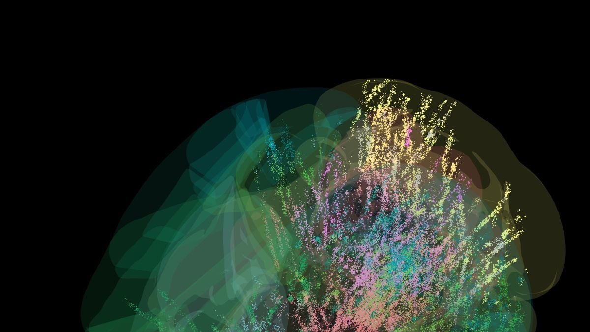 Una imagen del cerebro con las neuronas iluminadas por colores.